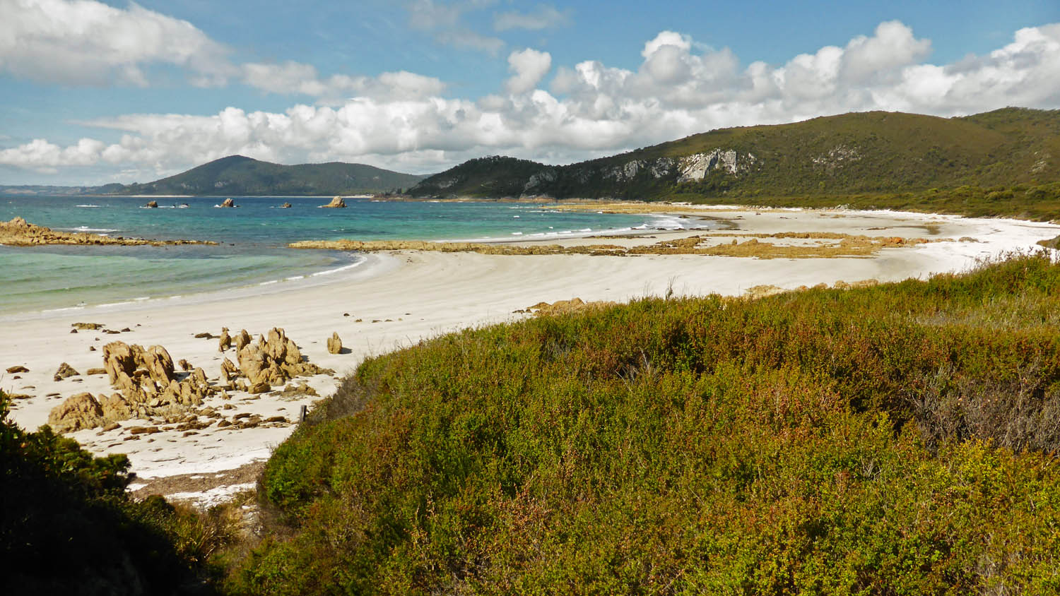 Anniversary Bay, from the north