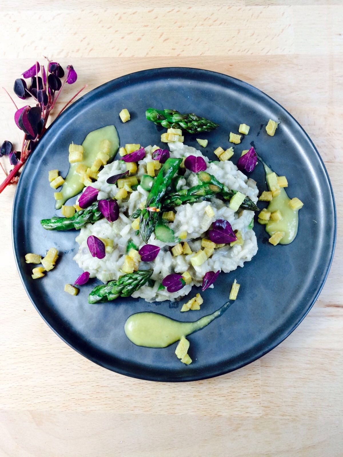 Spargel - Rhabarber - Sauerklee