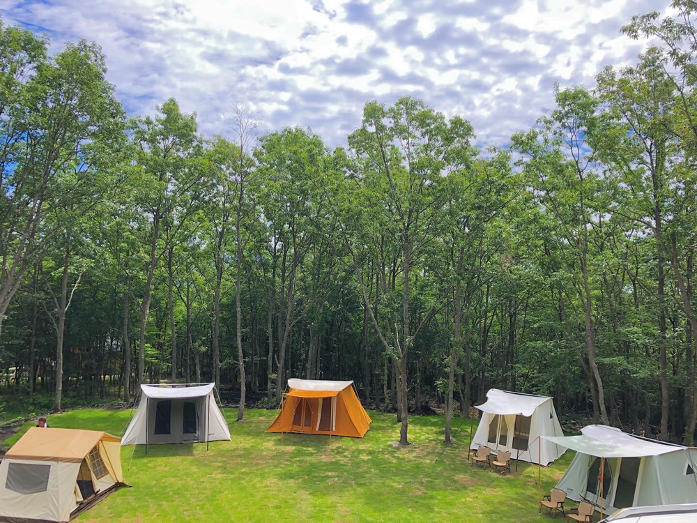 CAMP×WOODS