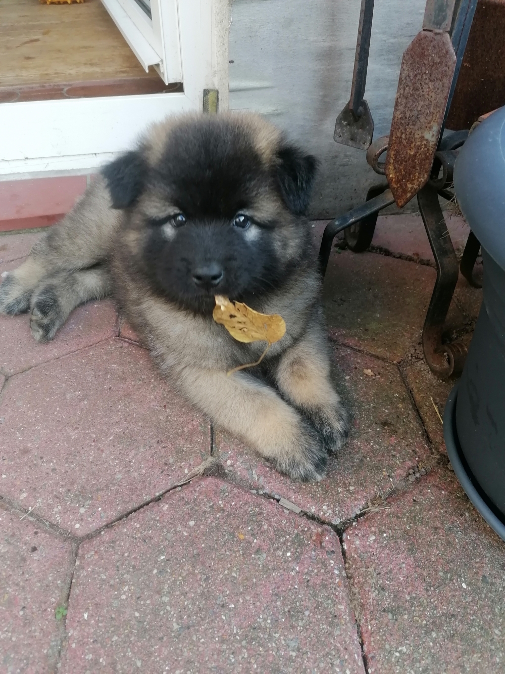 Ben ist noch zu haben 😍 🥰 