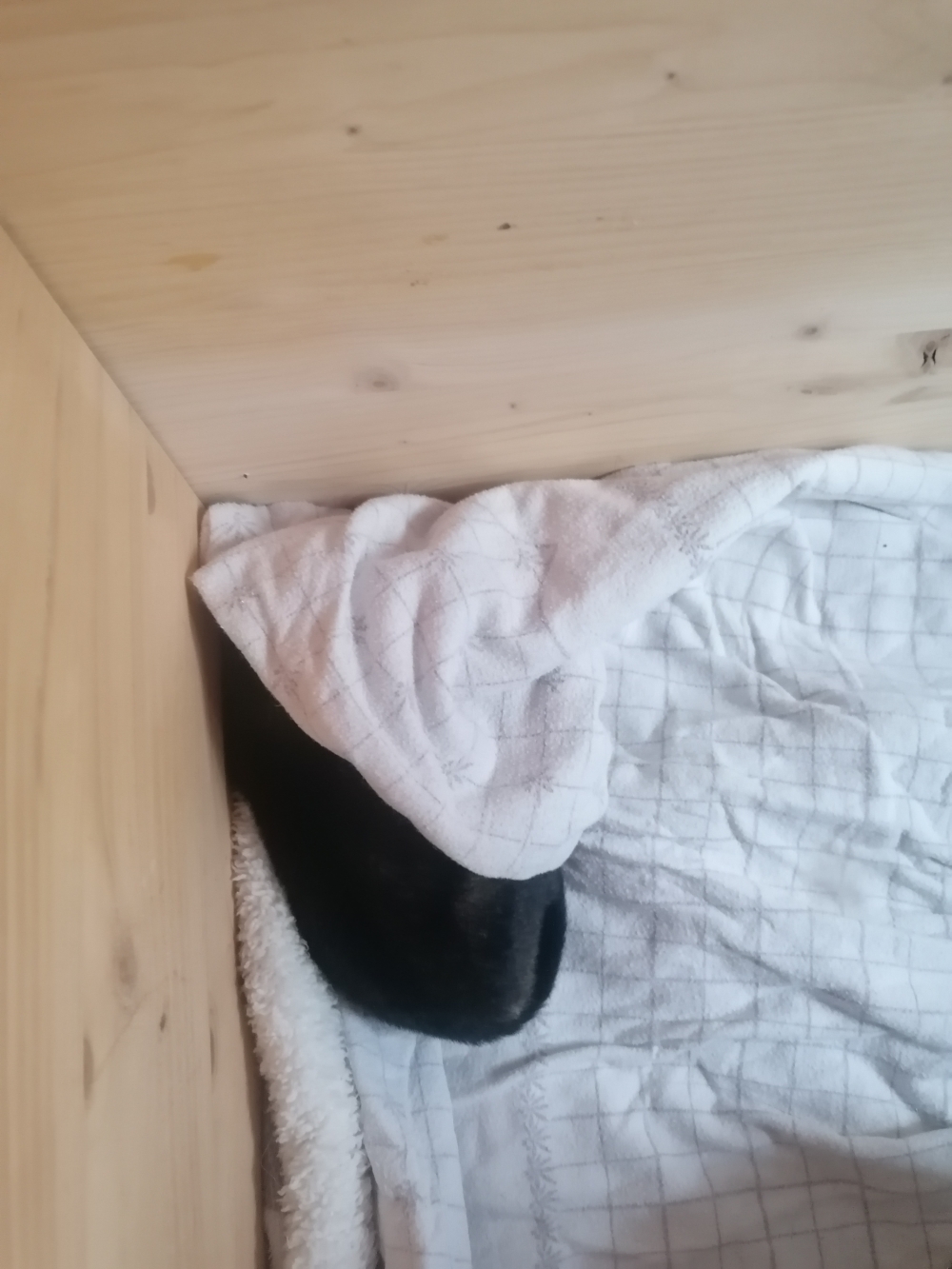 Ich will meine Ruhe 🤗 😍 