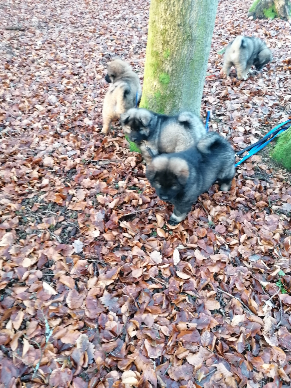 Heute war unserer erster Waldspaziergang