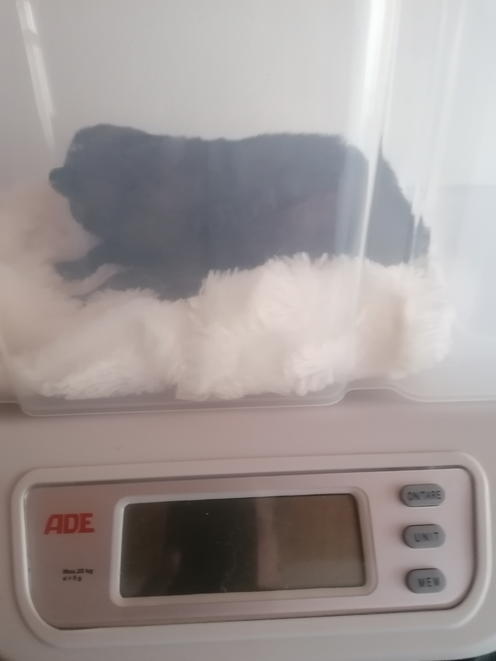 974g 