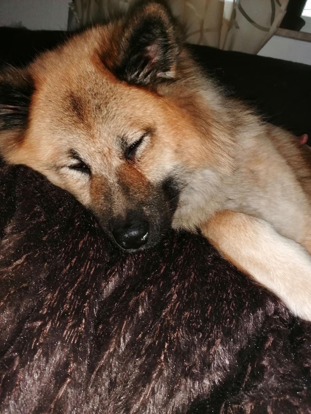 Mein Kuschelbaer 😍 