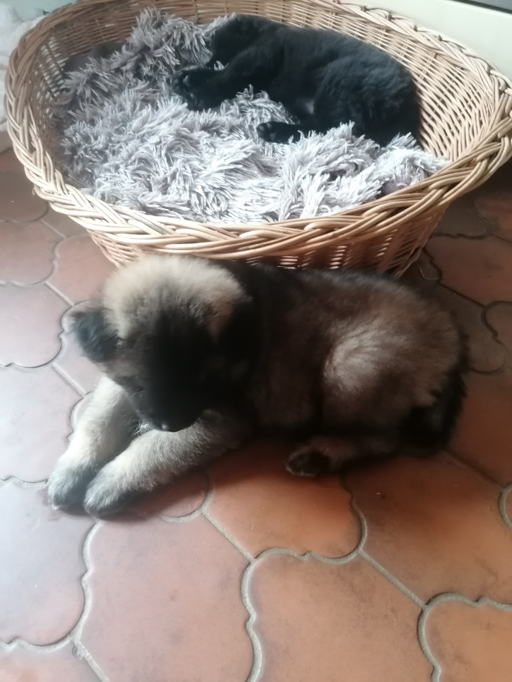 Ben und Bella