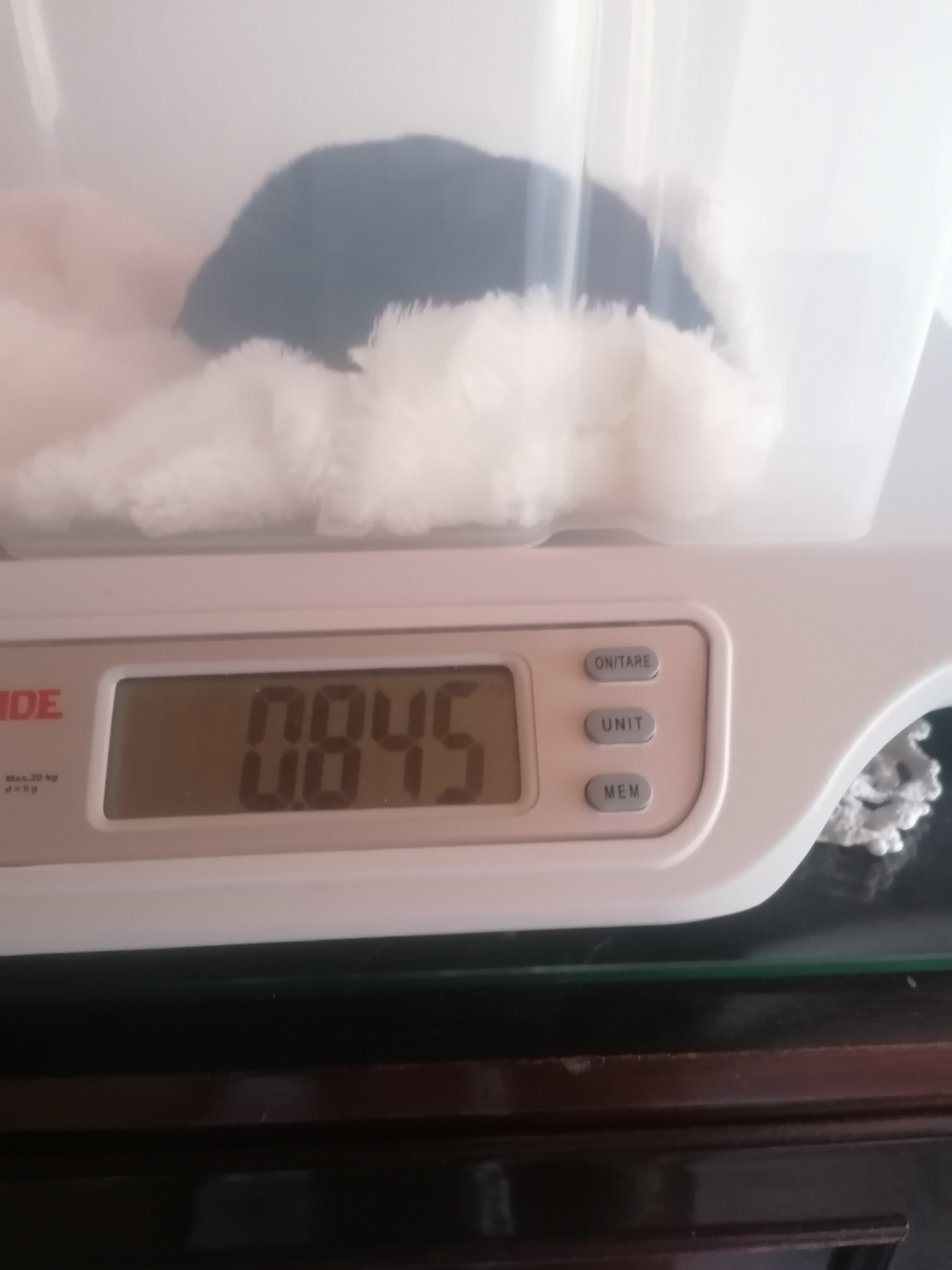 Das 2 wiegen, haben alle ihr Gewicht verdoppelt 