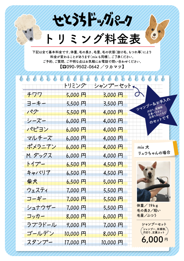お試しトリミング 岡山県瀬戸内市 西大寺駅近くの貸切ドッグラン せとうちドッグパーク 一般社団法人せとうち保護犬猫の里 保護犬 保護猫譲渡会毎週開催中