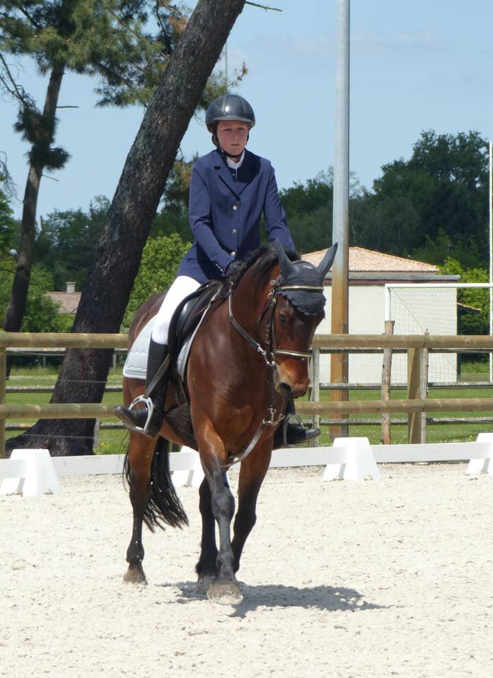 Caporal et Maeva en dressage