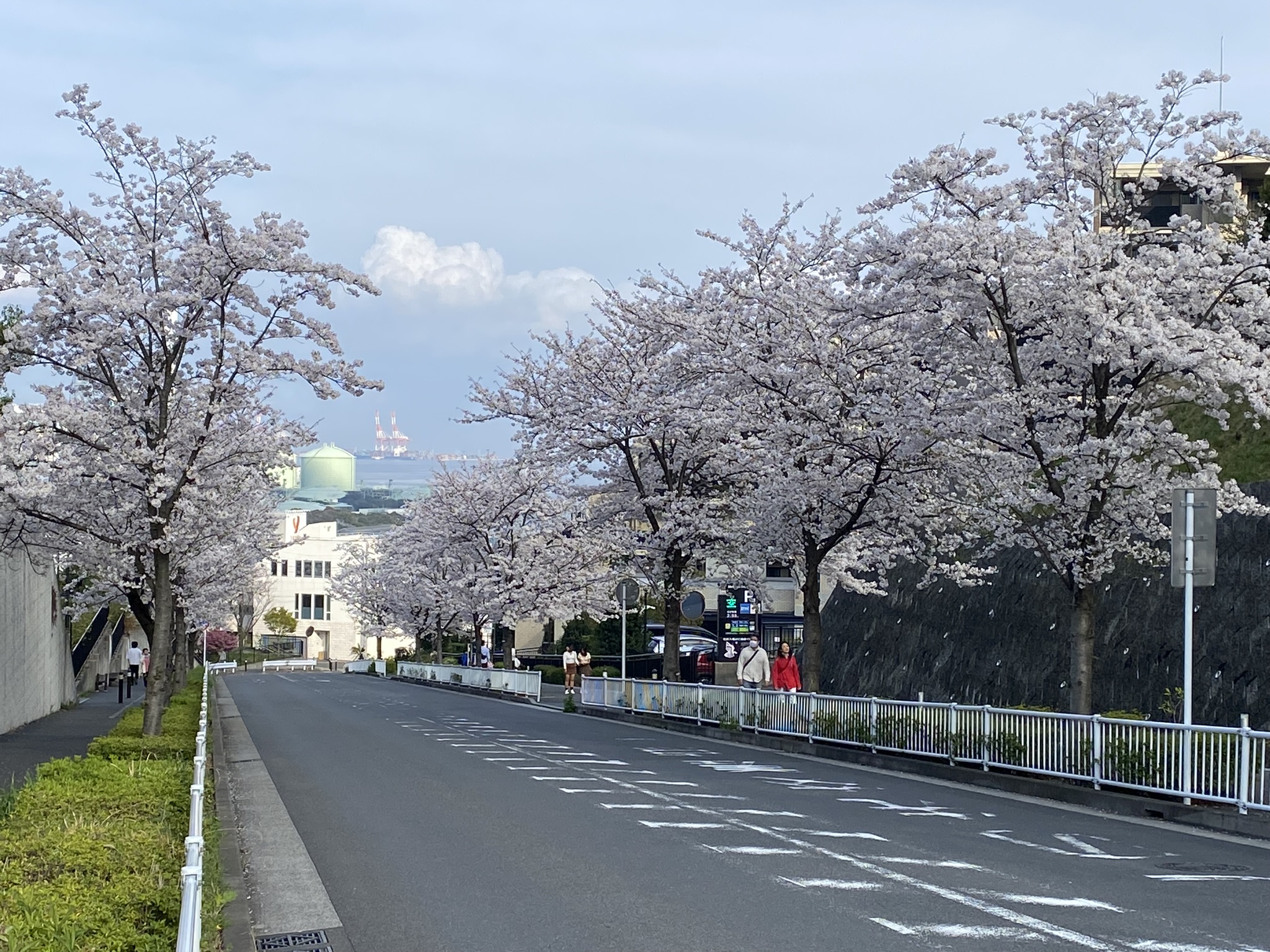 磯子プリンスホテル坂:2024年4月 