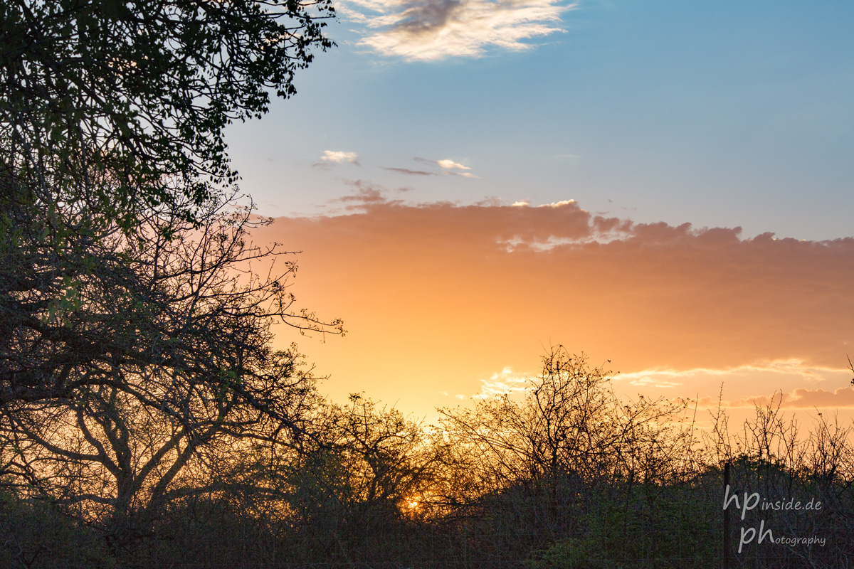 Sunset im afrikanischen Busch