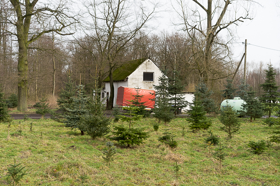 Mein Beitrag auf New Landscape Photography zum Thema Edgeland: Roter Anhänger an einem Waldstück bei Münster.