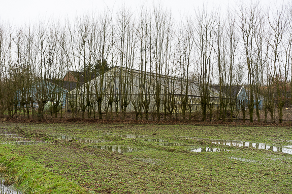 Mein Beitrag auf New Landscape Photography zum Thema Edgeland: Gewächshaus bei Loevelingloh, Münster.