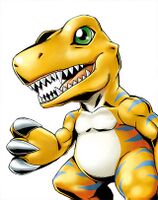Agumon X