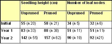 effect of pruning lateral shoots on seedling heights and leaf nodes on main stem