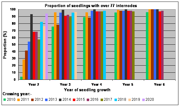 Graph showing proportion of seedlings attaining 77 internodes after successive years of growth  