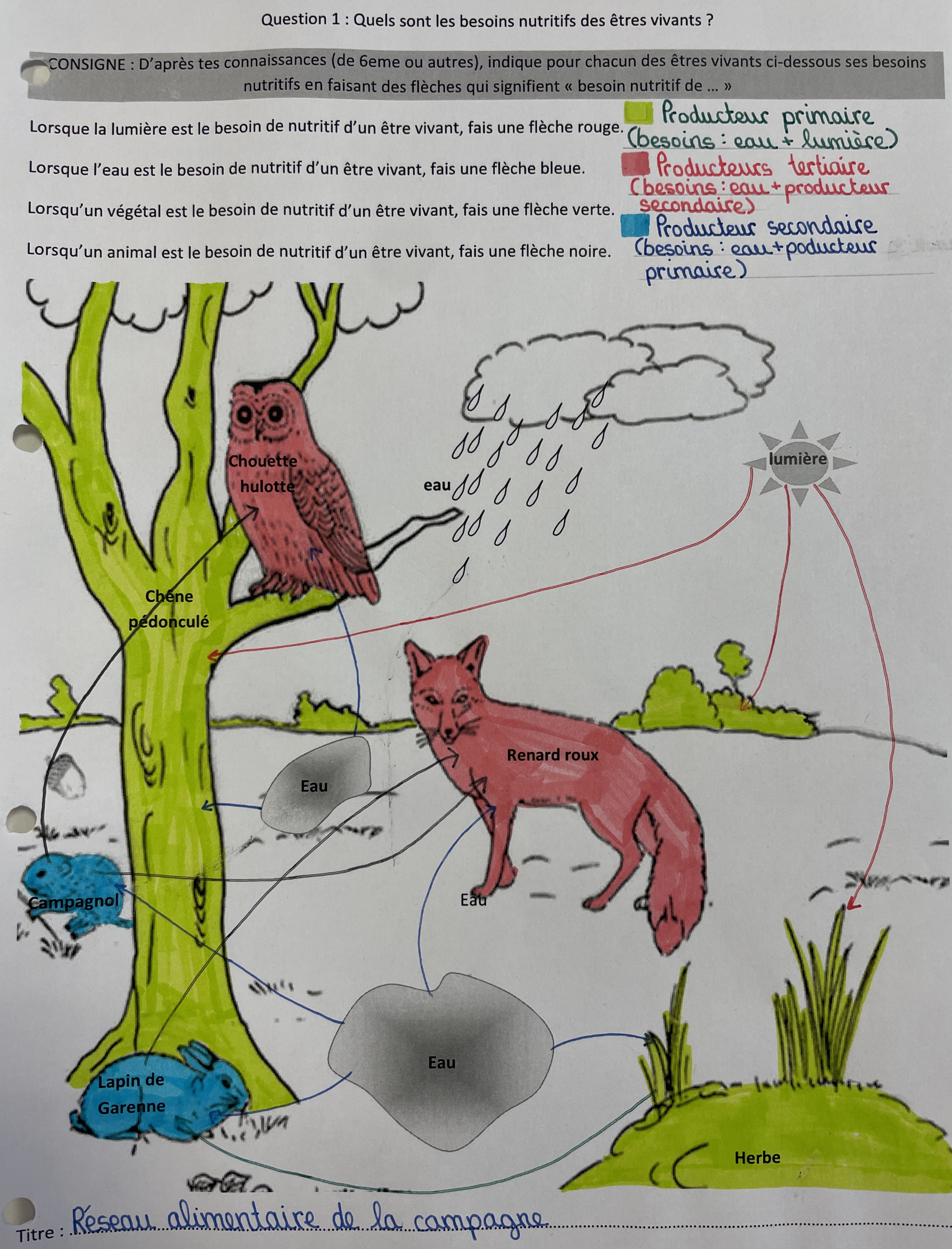 Controle Svt 5eme La Nutrition Chez Les Animaux Chapitre 3 :La nutrition des végétaux et animaux - Site de svtpmc !