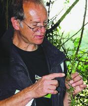 Michel Méline