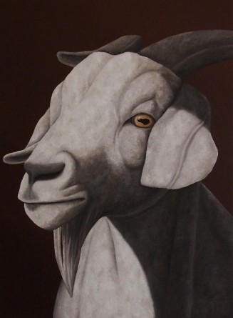 Tiere