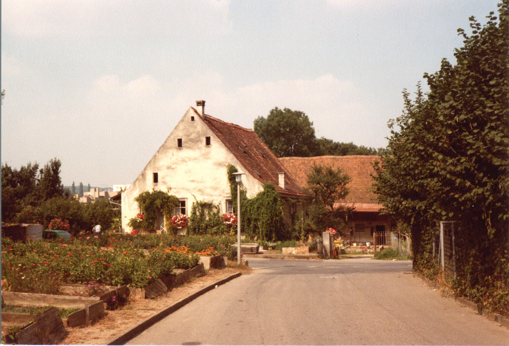 Untere Mühle, Gärtnerei Blaser, 1974