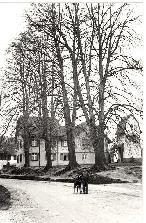 Das Schuelhübeli mit den prächtigen 4 Linden an der Benkenstrasse