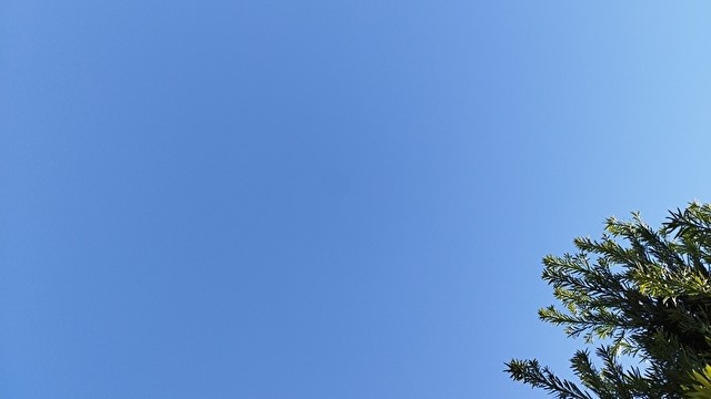 毎日過ごしやすい陽気ですね【秋】
