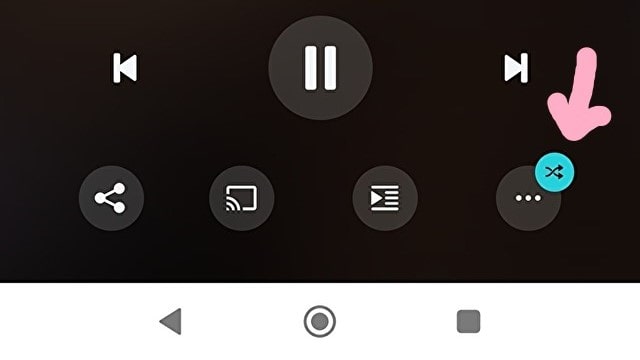 Amazon Music初めは「Meshell Ndegeocello」のランダム再生