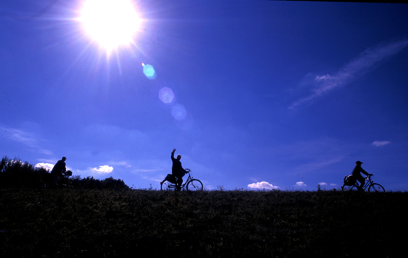 Naturpark Elbetal, 2008