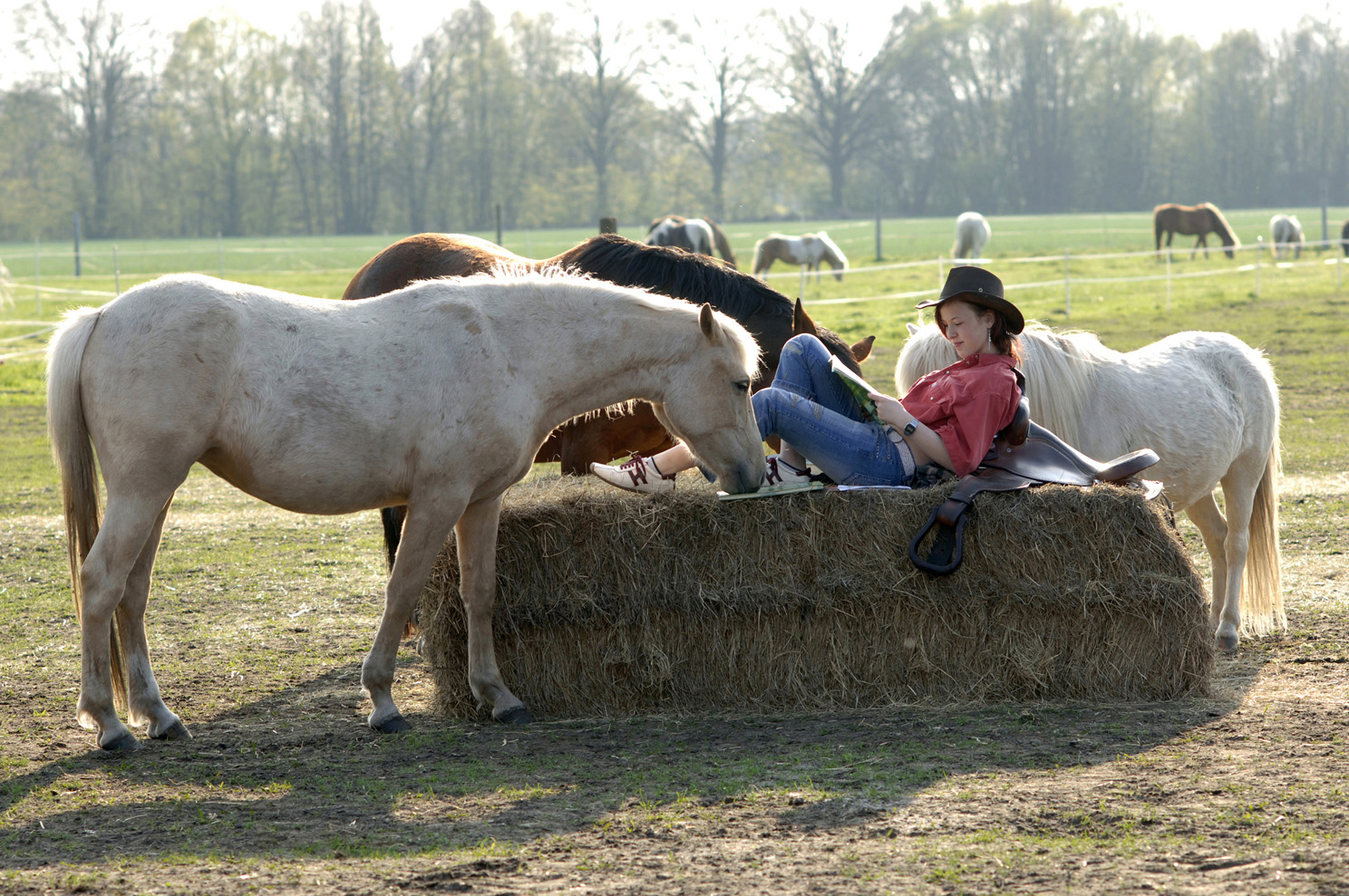 Ferien