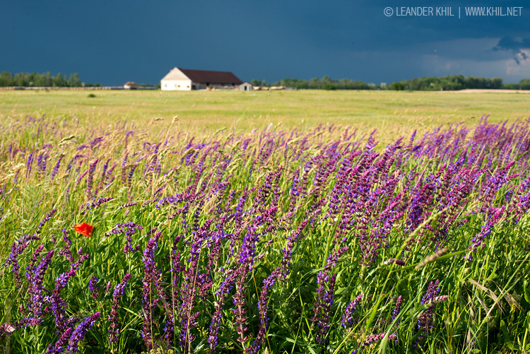 May thunderstorm at Lange Lacke