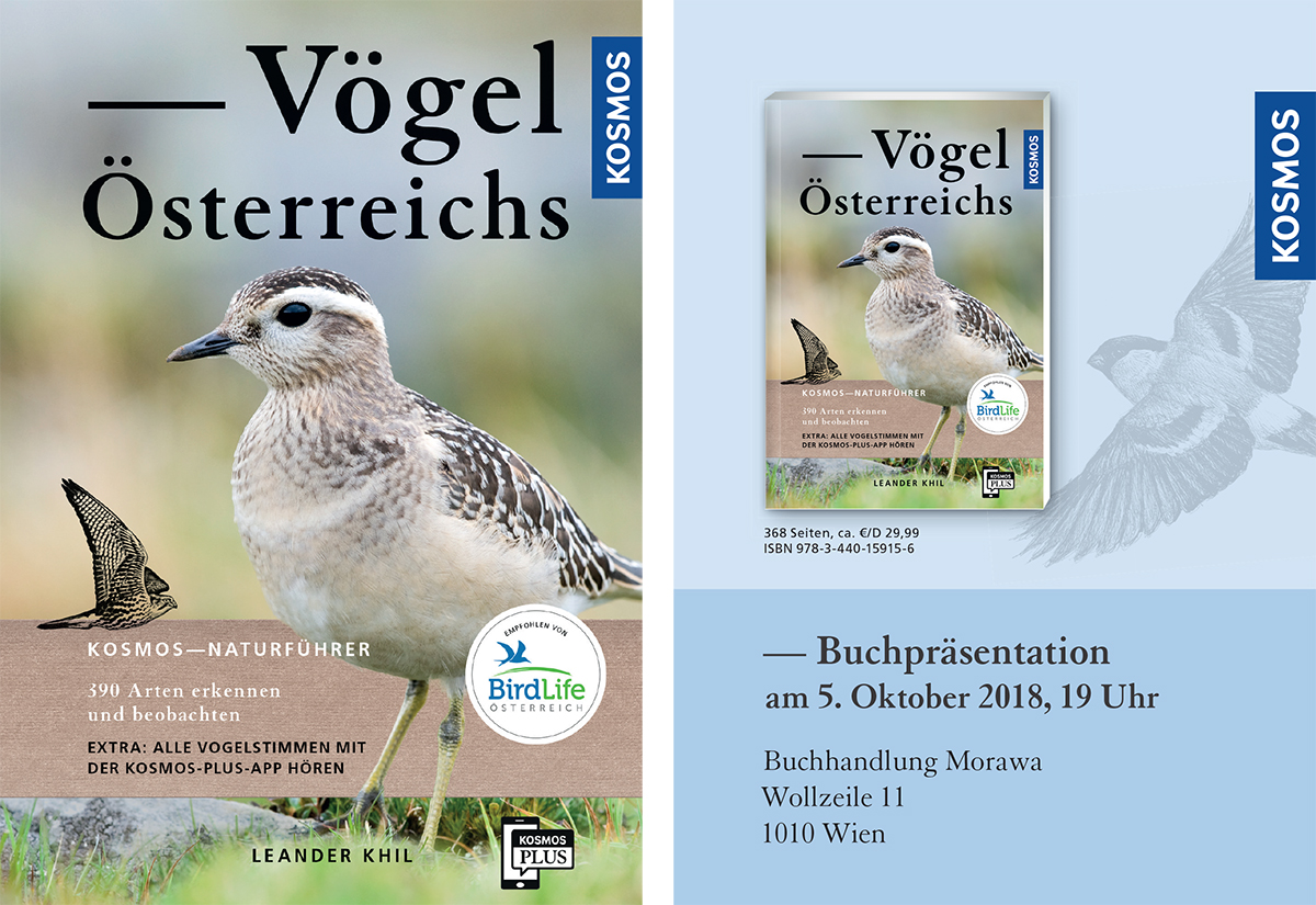 Buch: Vögel Österreichs