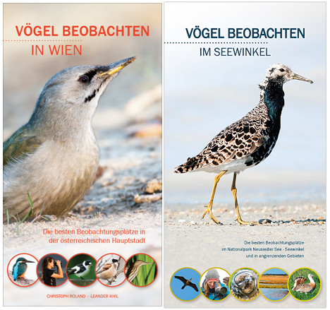 Vögel beobachten in Wien