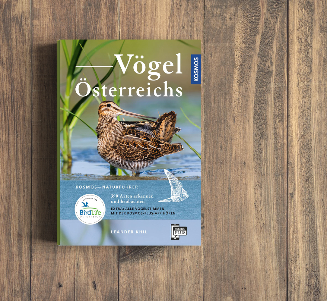 Vögel Österreichs: 2. Auflage