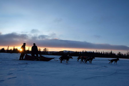 Helags Husky : Abendstimmung