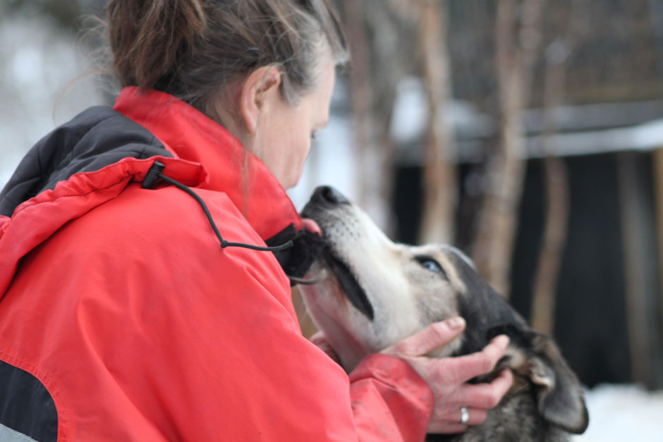 Helags Husky : Kjell & Jutta