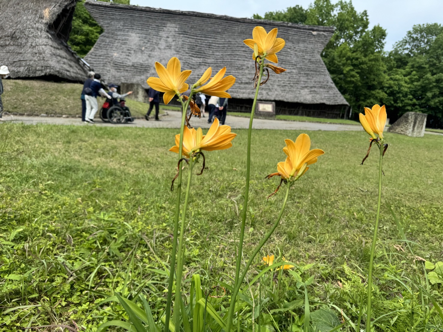 聖山公園へ行きました