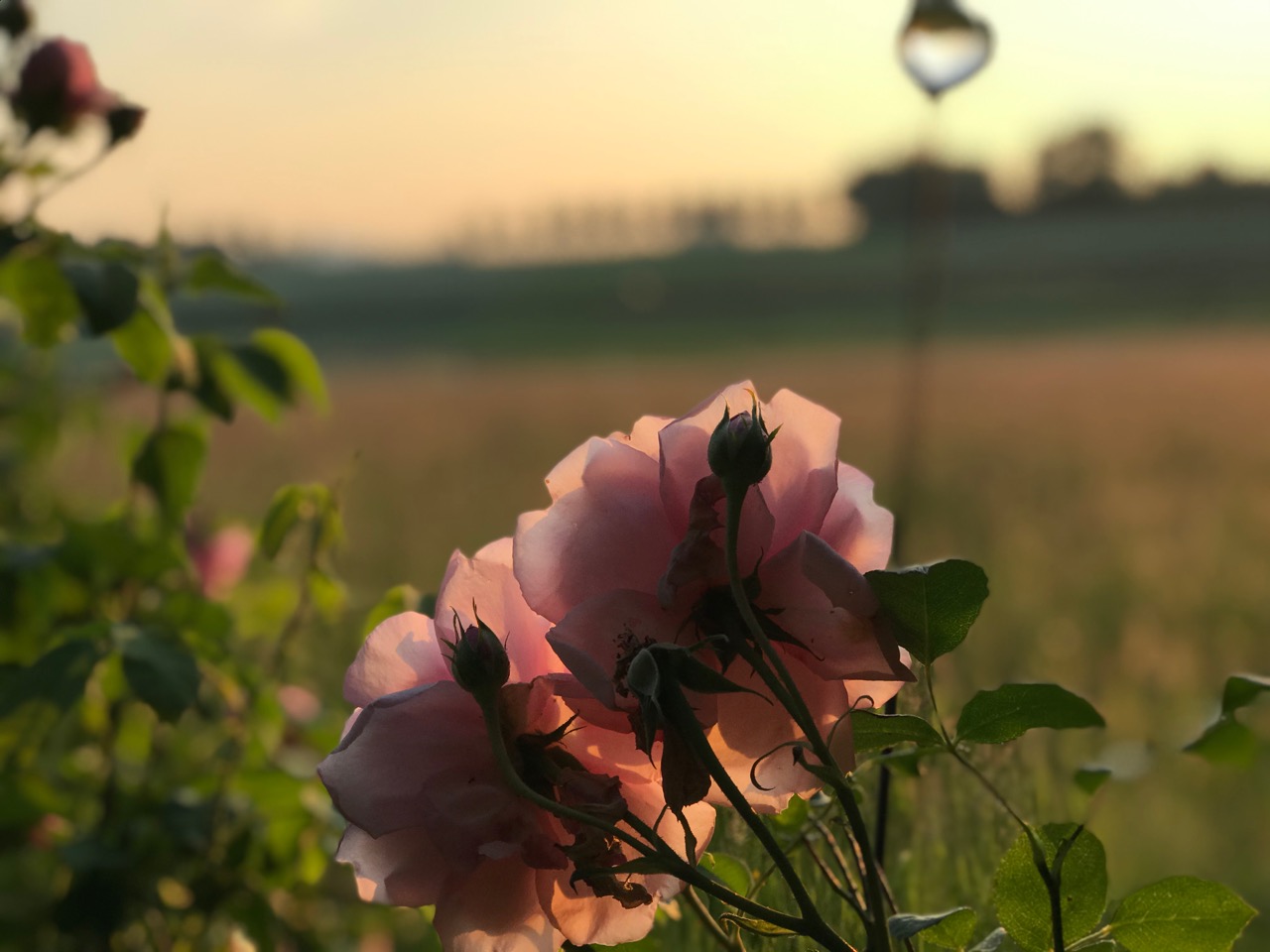 Selbstliebe