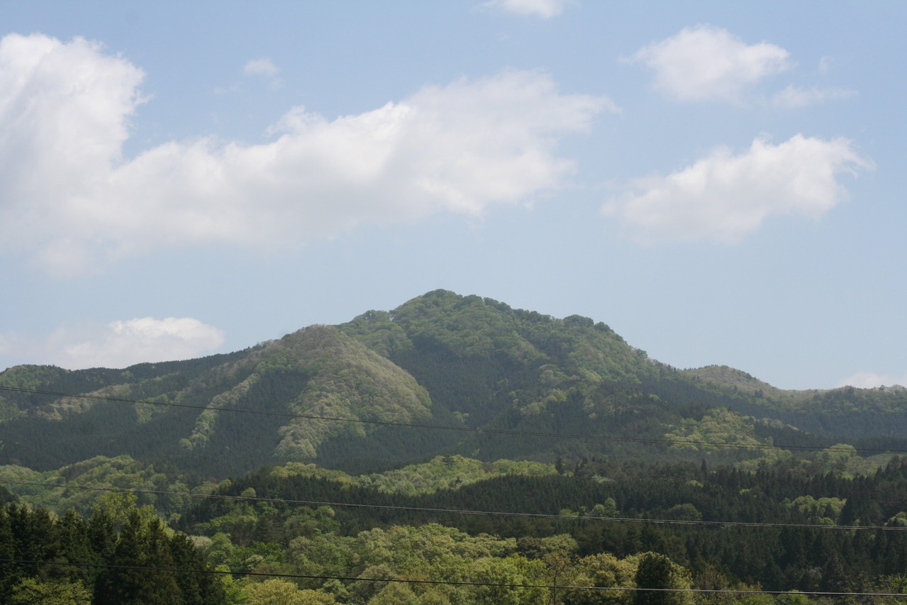 女亀山　８３３メートル　ブナの原生林