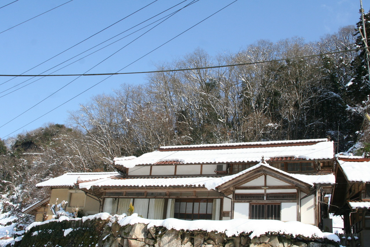 ２５年の正月は雪です