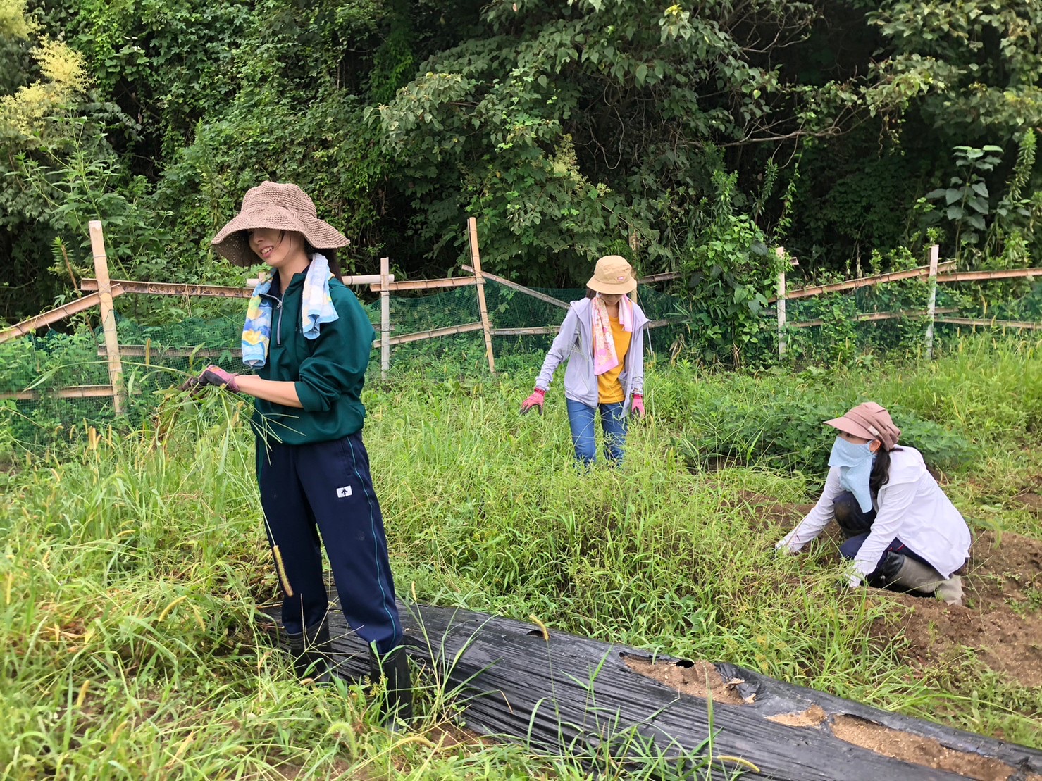 9月11日 教材園 定例活動