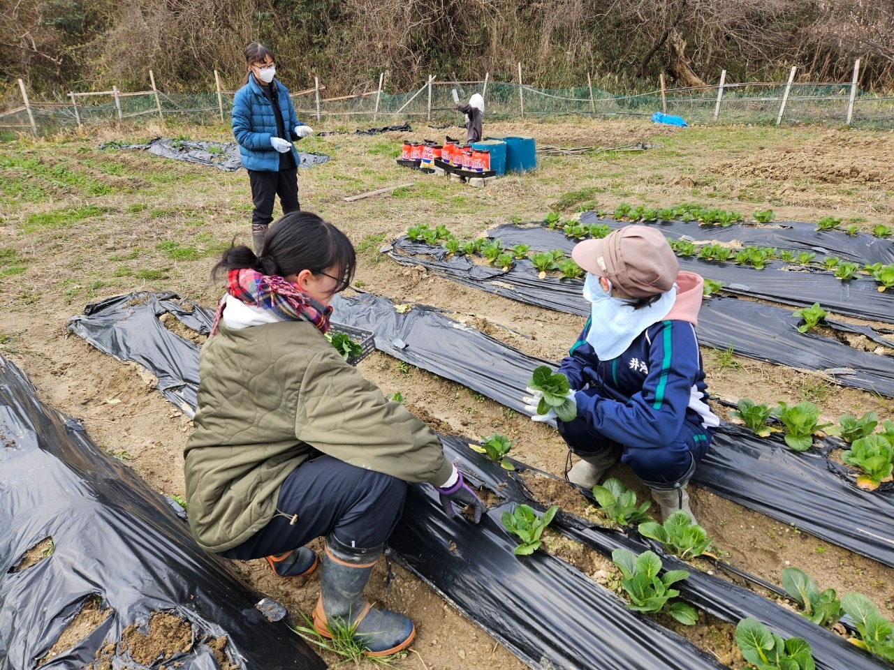 2月29日　教材園　定例活動