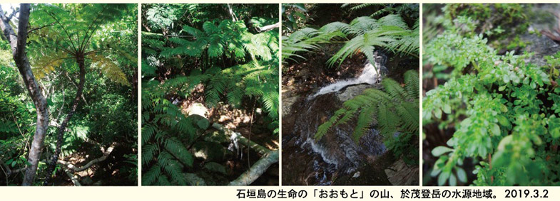沖縄ゆんたくin草加の展示より①【石垣島・ミサイル基地建設現場の現状】