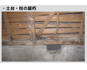 土台、柱部分の腐朽は白蟻害や建物の著しい劣化と耐久性を損なう