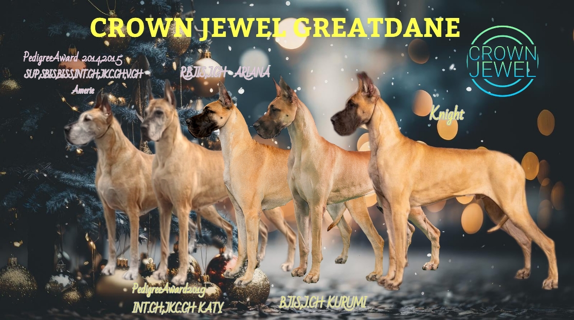 グレートデンブリーダーCrown Jewel Kennel グレートデンブリーダーCROWN JEWEL KENNEL