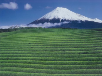 静岡県