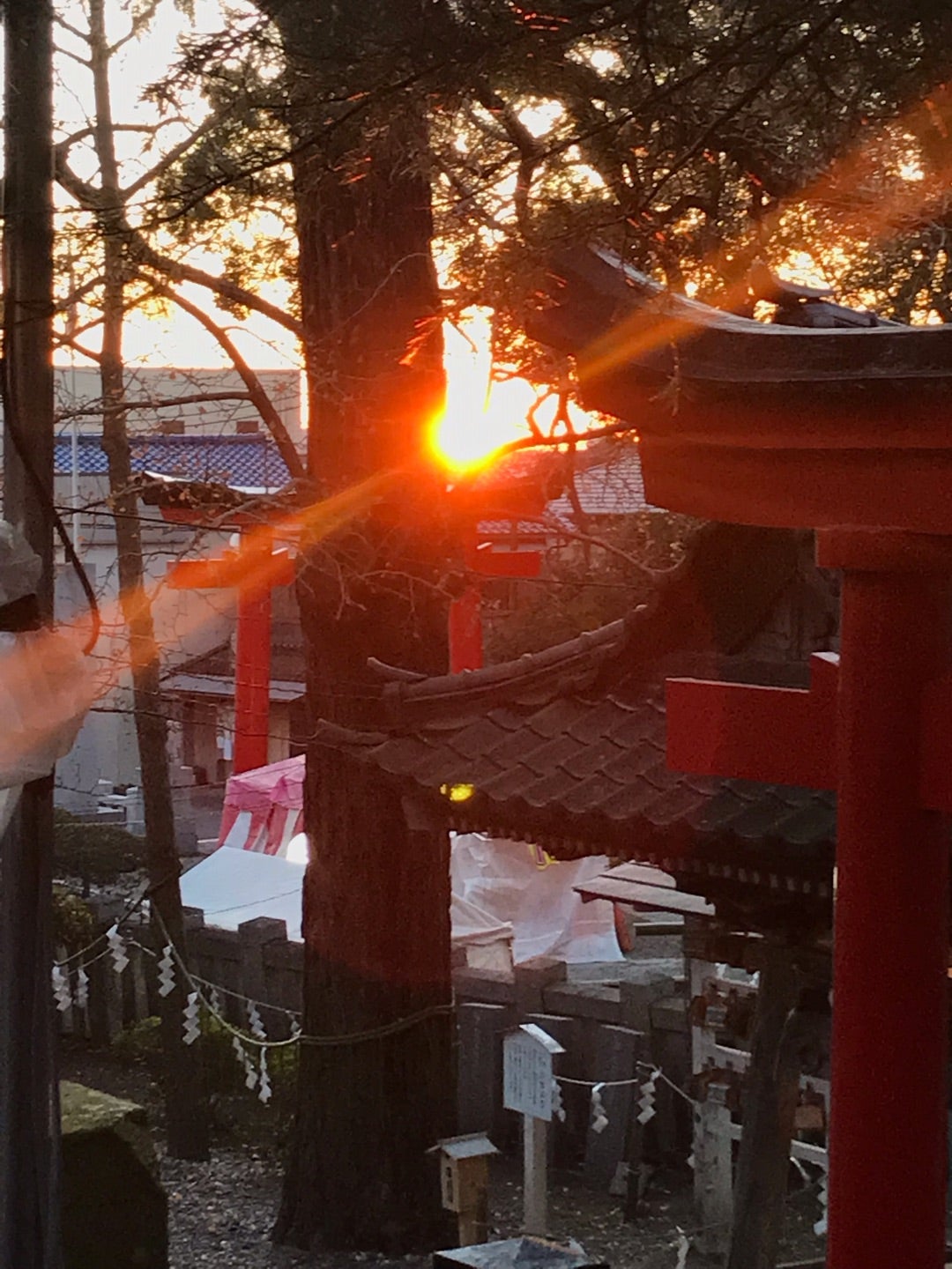あけましておめでとうございます！初日の出は玉前神社へ♪