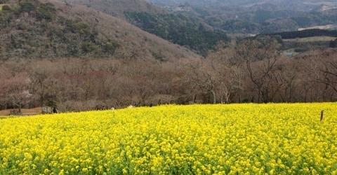 【お知らせ♪】5月から千葉県富津市に拠点を移しますよ～♪房総方面の方ぜひぜひ！