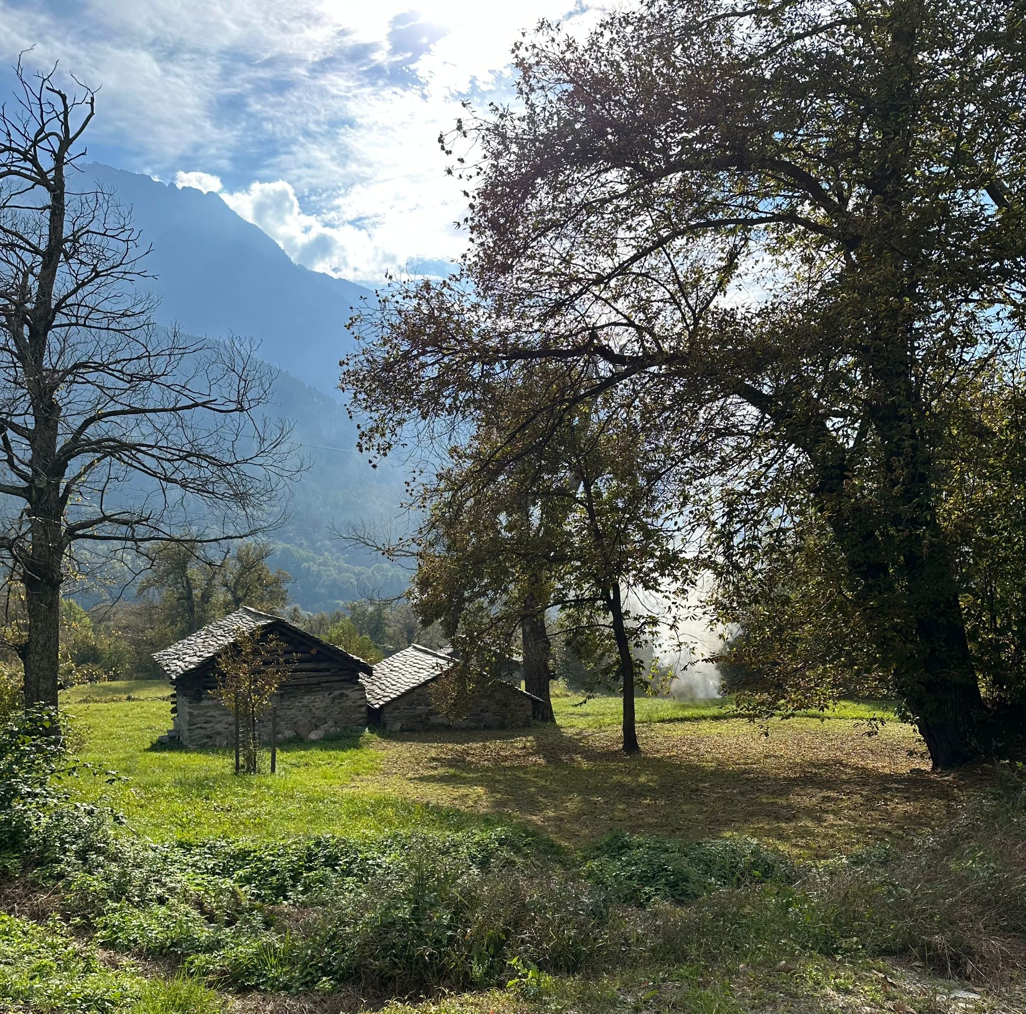 Wanderung durch die Kastanienwälder