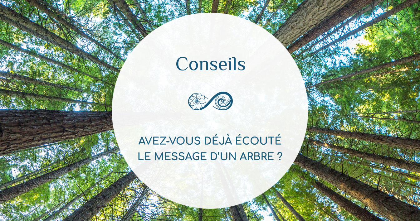 Avez-vous déjà écouté le MESSAGE D'UN ARBRE ?