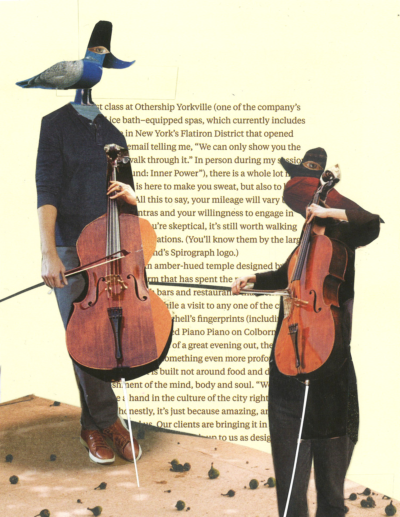 Collage by Sae Kimura