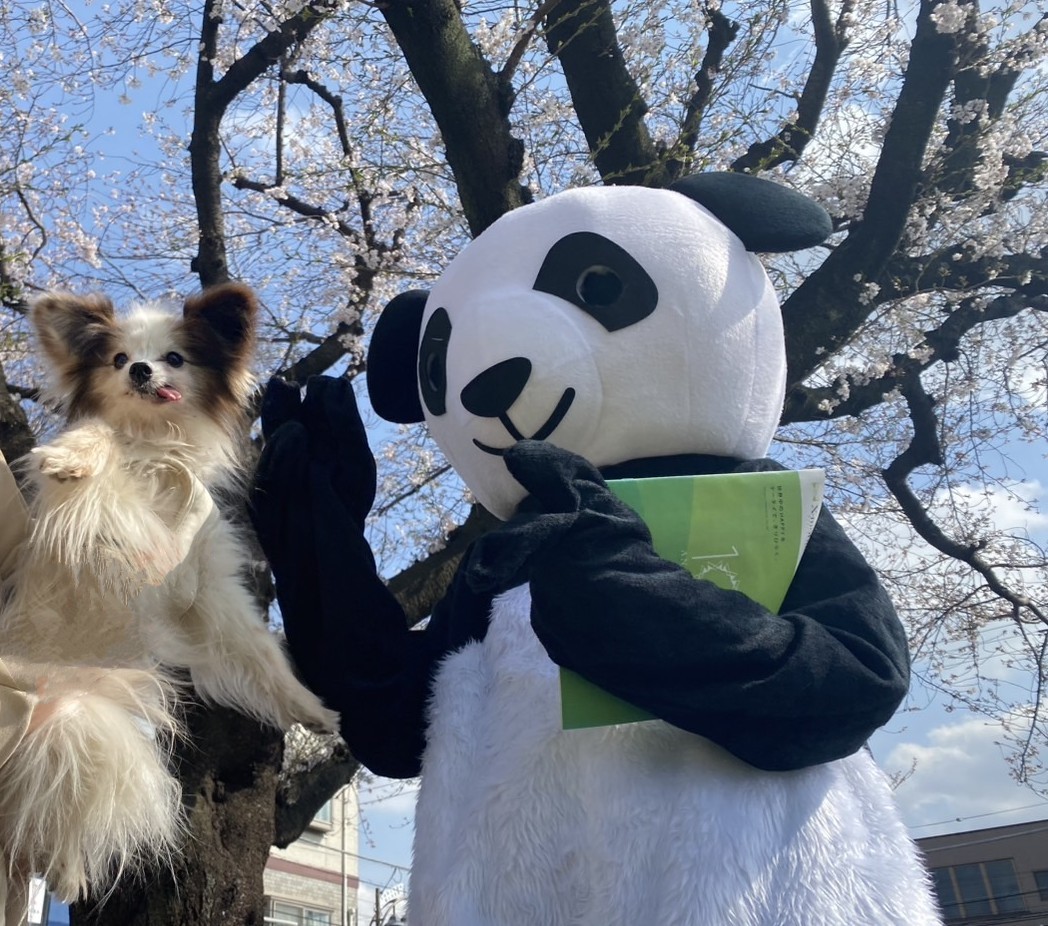 桜とパンダと犬